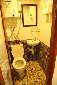 European Hostel - Baño