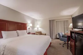 Hampton Inn & Suites Williamsburg-Richmond Rd. - Room