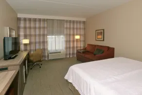 Hampton Inn Springfield-Southeast - Room