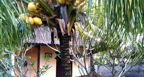 Wahyu Dewata - View from room