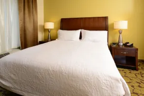 Hilton Garden Inn Greensboro Airport - Room