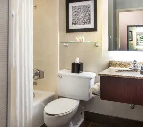Best Western Plus Strongsville Cleveland - Salle de bain