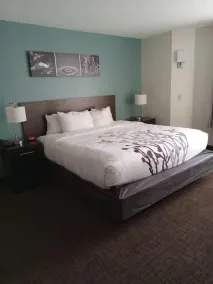 Sleep Inn & Suites Kingsport TriCities Airport - Room