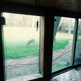 HOUSE Of THE FUTURE IN THE WOODS OF WEST LANSING - Vista do quarto