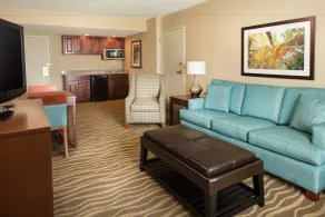 Holiday Inn Hotel & Suites Overland Park-West by IHG - Chambre