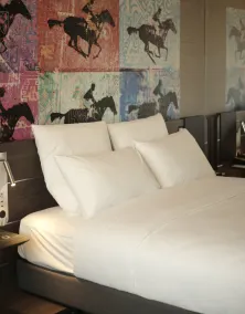 Novotel Bishkek City Center - Room