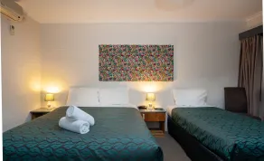 Albury Winsor Park Motor Inn - Room