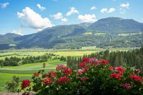 Hotel Glocknerhof - Udsigt fra værelset