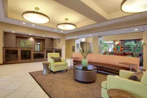 Homewood Suites by Hilton Tampa-Brandon - Réception