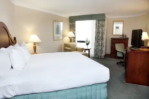 Hilton Greenville - Chambre