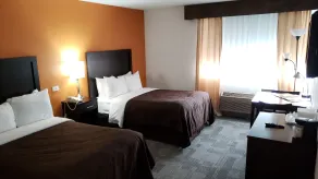 Clarion Inn near McAllen Airport - Chambre