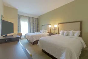 Hampton Inn Great Falls - Chambre