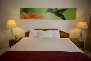 Eco Torarica - Room