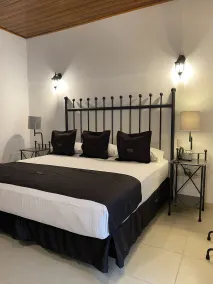 Hotel Plata Condesa - Room