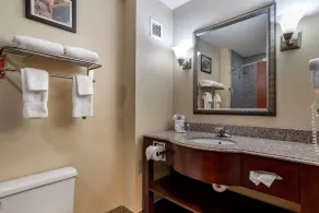 Comfort Inn & Suites Clinton - Jackson West - Salle de bain