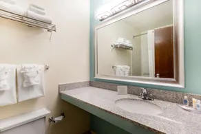 Quality Inn Stephens City-Winchester South - Badezimmer