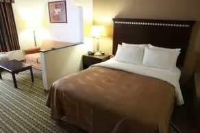 Quality Suites Burleson - Ft Worth - Chambre