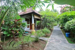 Amed Harmony Bungalows And Villas - View from room