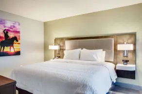 Hampton Inn & Suites Fort Worth Downtown - Chambre