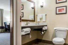 Comfort Suites Byron Warner Robins - Salle de bain