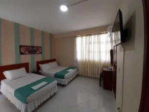 Hotel El Andino - Room