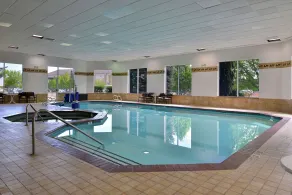 Hampton Inn Idaho Falls/Airport - Piscine