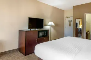 Comfort Inn & Suites Seattle North - Chambre