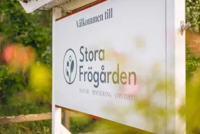 Stora Frögården - Reception