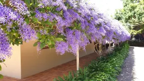 Bendles Cottages - Réception