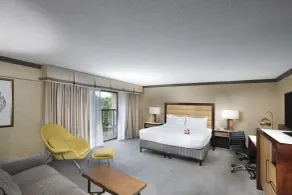 Crowne Plaza Resort Asheville by IHG - Chambre