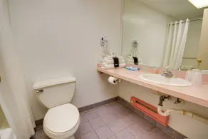 Flamingo Motel - Baño