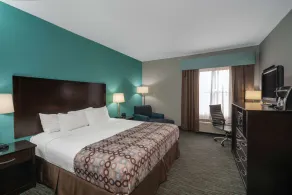 La Quinta by Wyndham Knoxville East - Rom
