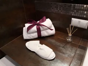 MG Apartments Siedmiogrodzka - Salle de bain