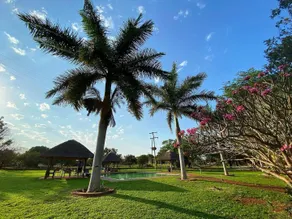 Elephant Walk Retreat - Pool