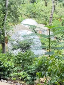 Alma Glamping - Chambre