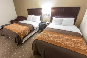 Comfort Inn Pittsburgh Crafton - Chambre