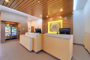 Fairfield Inn & Suites by Marriott Dallas Cedar Hill - Réception