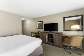 Comfort Inn, Cleveland South - Richfield - Chambre