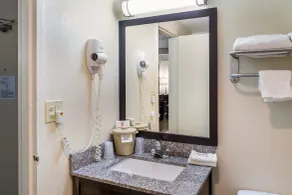 Red Roof Inn Richmond, IN - Salle de bain