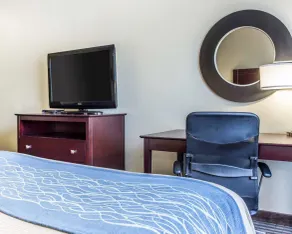Comfort Inn & Suites Ballpark Area - Chambre