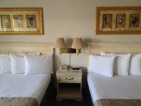 Parkside Inn Bridgeview - Chambre