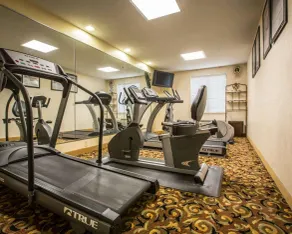 Sleep Inn Asheville - Biltmore West - Salle de remise en forme