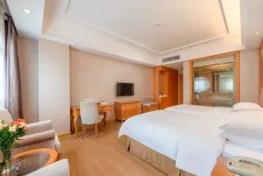 Vienna International Hotel Guangzhou Beijing Road Pedestrian Street Gongyuanqian Metro Station Branch - Free Deliver Service to Guangzhou Baiyun International Airport & Free Deliver Service to Canton Fair Complex During Canton Fair Period - Zimmer