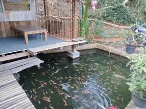 Hotel O Homestay Banyumili Samigaluh - Intérieur