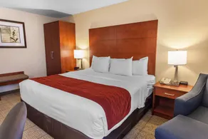 Comfort Inn & Suites Near Fallon Naval Air Station - Chambre
