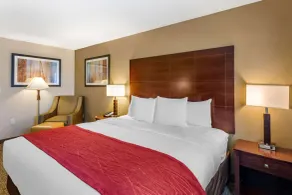 Comfort Inn & Suites Tooele-Salt Lake City - Chambre