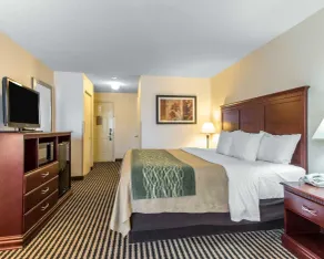 Comfort Inn Birmingham - Irondale - Chambre
