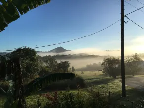 Gridley Homestead B&B - Vistas desde la habitación