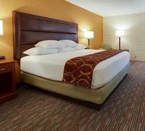 Drury Inn & Suites Denver Tech Center - Chambre