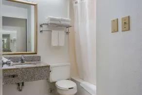 Econo Lodge Inn & Suites Chambersburg Central - Salle de bain